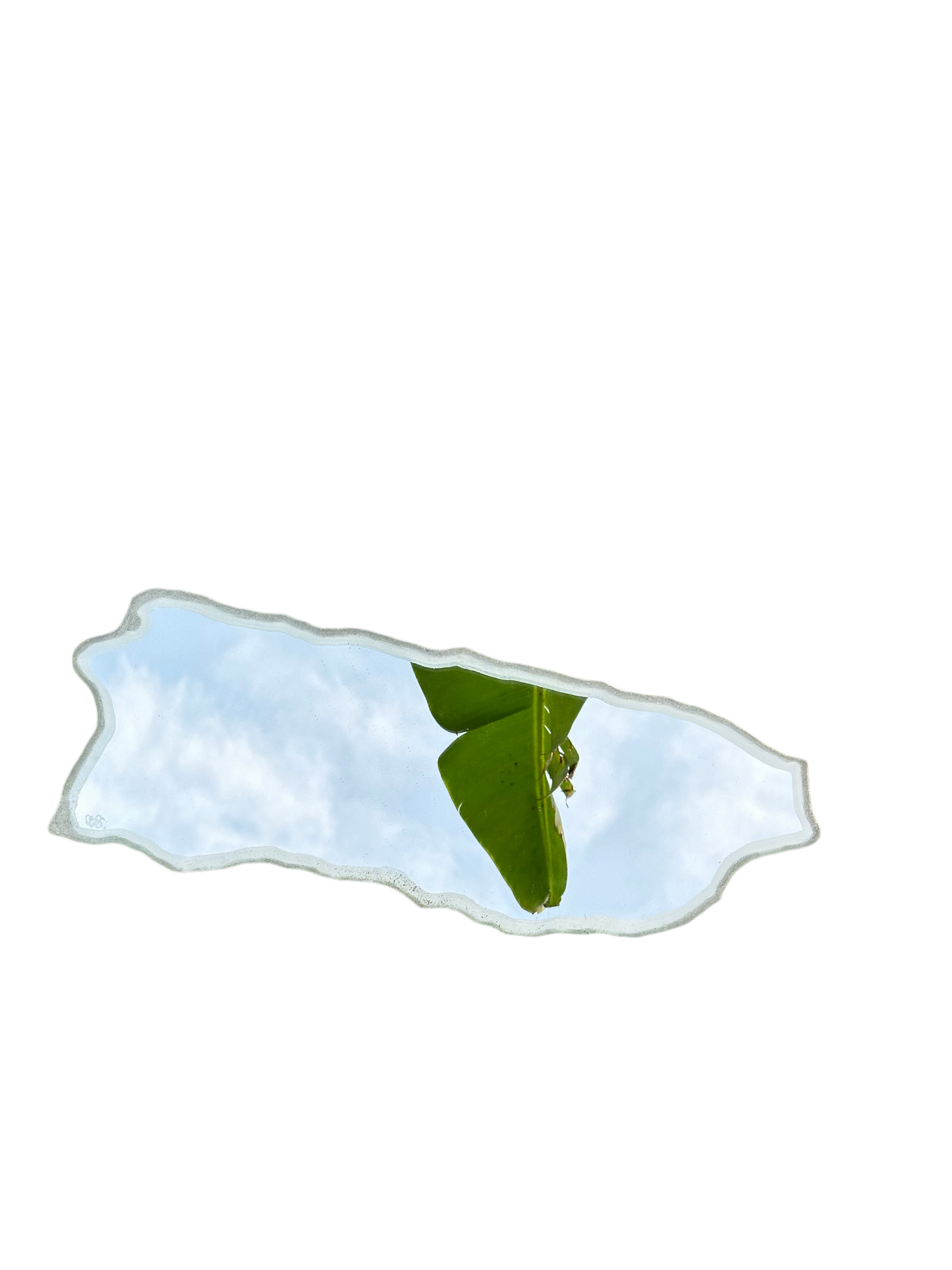 Mancha de Plátano