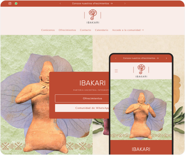 Honoring Vision Through Design: IBAKARI’s First Website