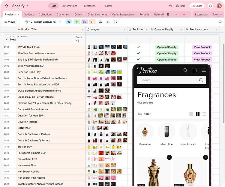 Preciosa: Systems, Processes, and Ongoing Support to Grow with Clarity
