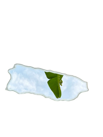 Mancha de Plátano